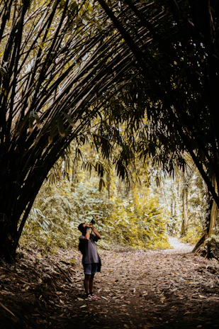 A traveler capturing the golden hour light while walking through Kyoto’s bamboo forest.