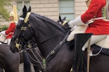 Several individuals in ceremonial military uniforms are riding horses. The attire includes bright red jackets adorned with gold accents, and the horses are covered in sleek black gear. The background shows a building with rectangular windows.