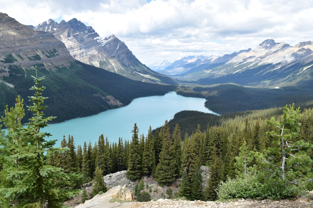 a view of a lake surrounded by mountains and trees