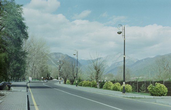 A tree-lined road running towards the Caucasus ridge above Gabala