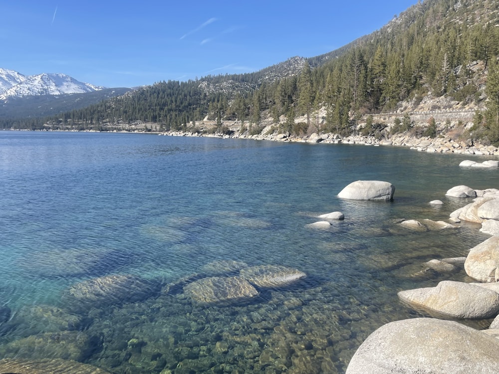 a body of water surrounded by rocks and trees