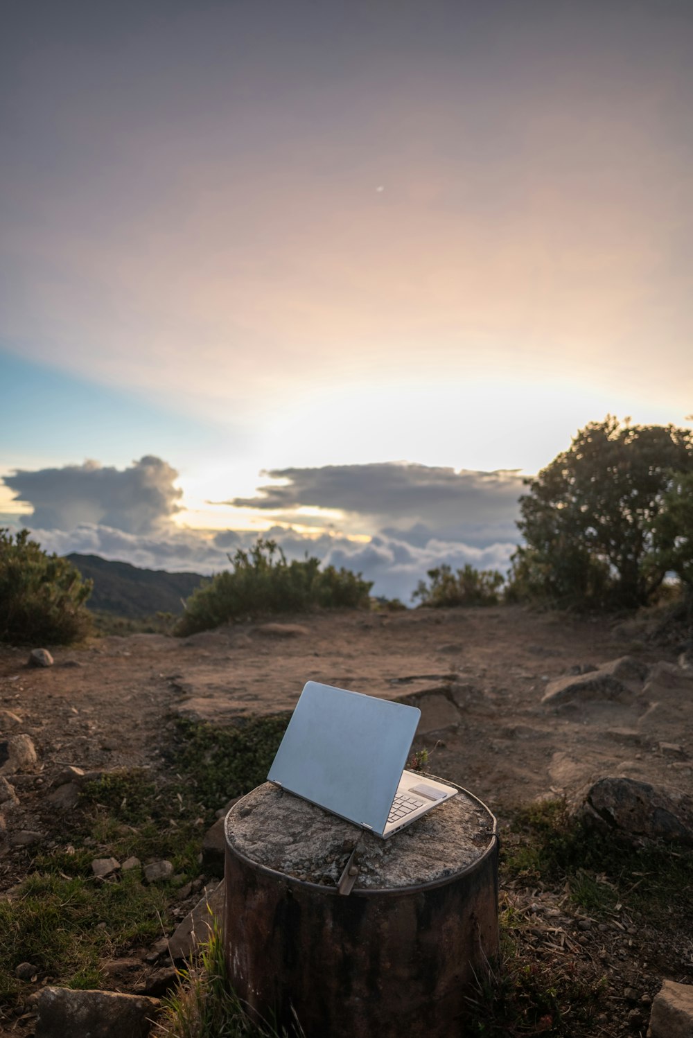 a laptop computer sitting on top of a tree stump