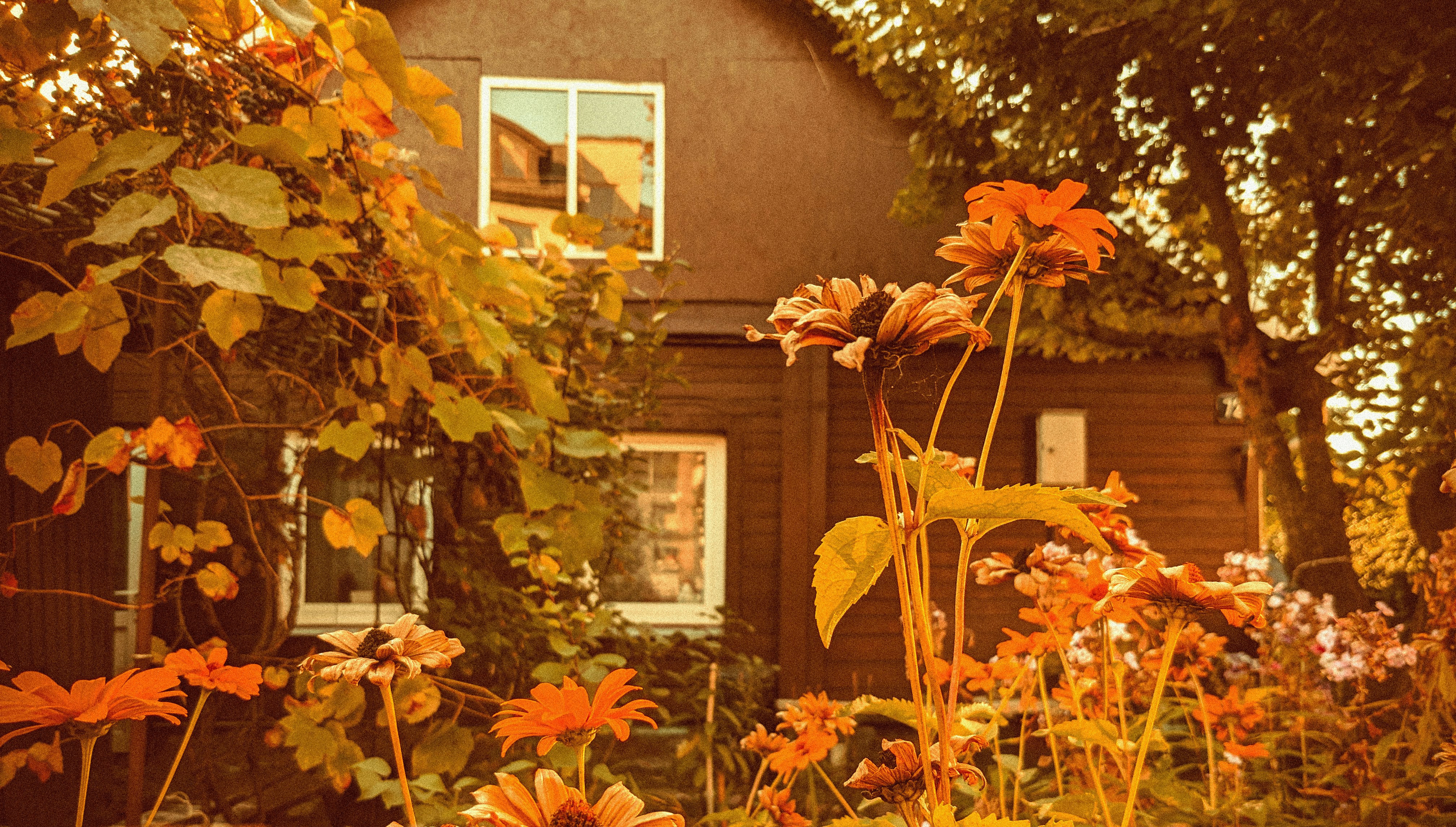 Photo by mandravickaite