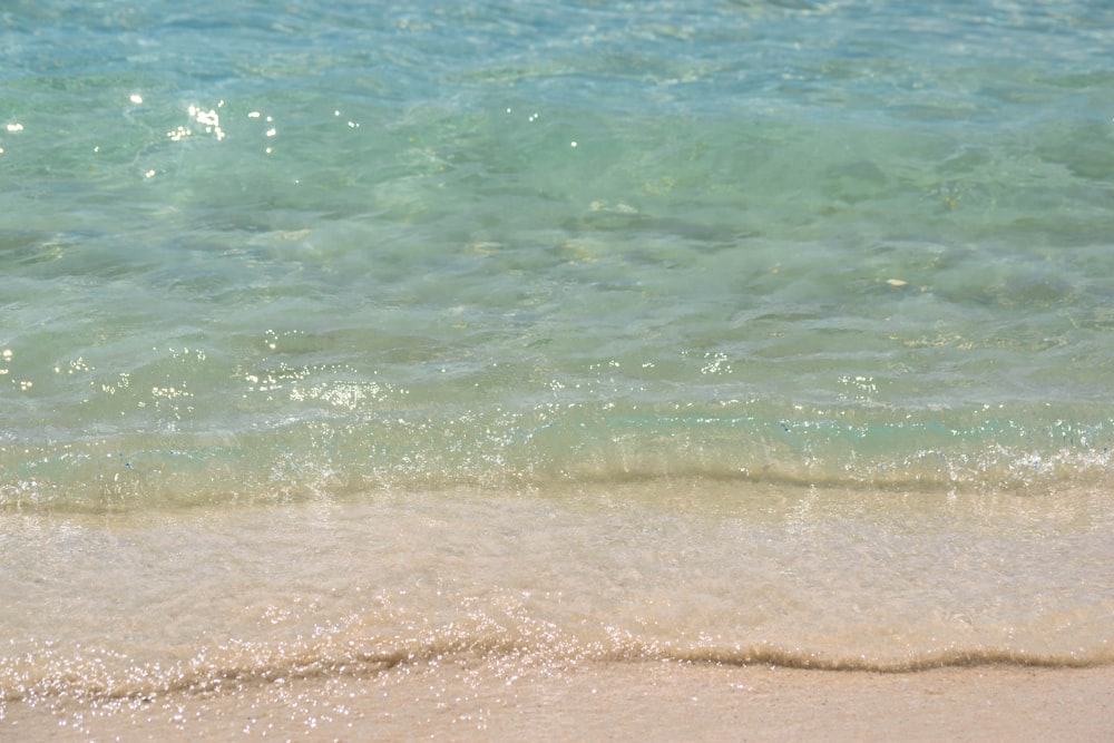 uma praia de areia ao lado de um corpo de água