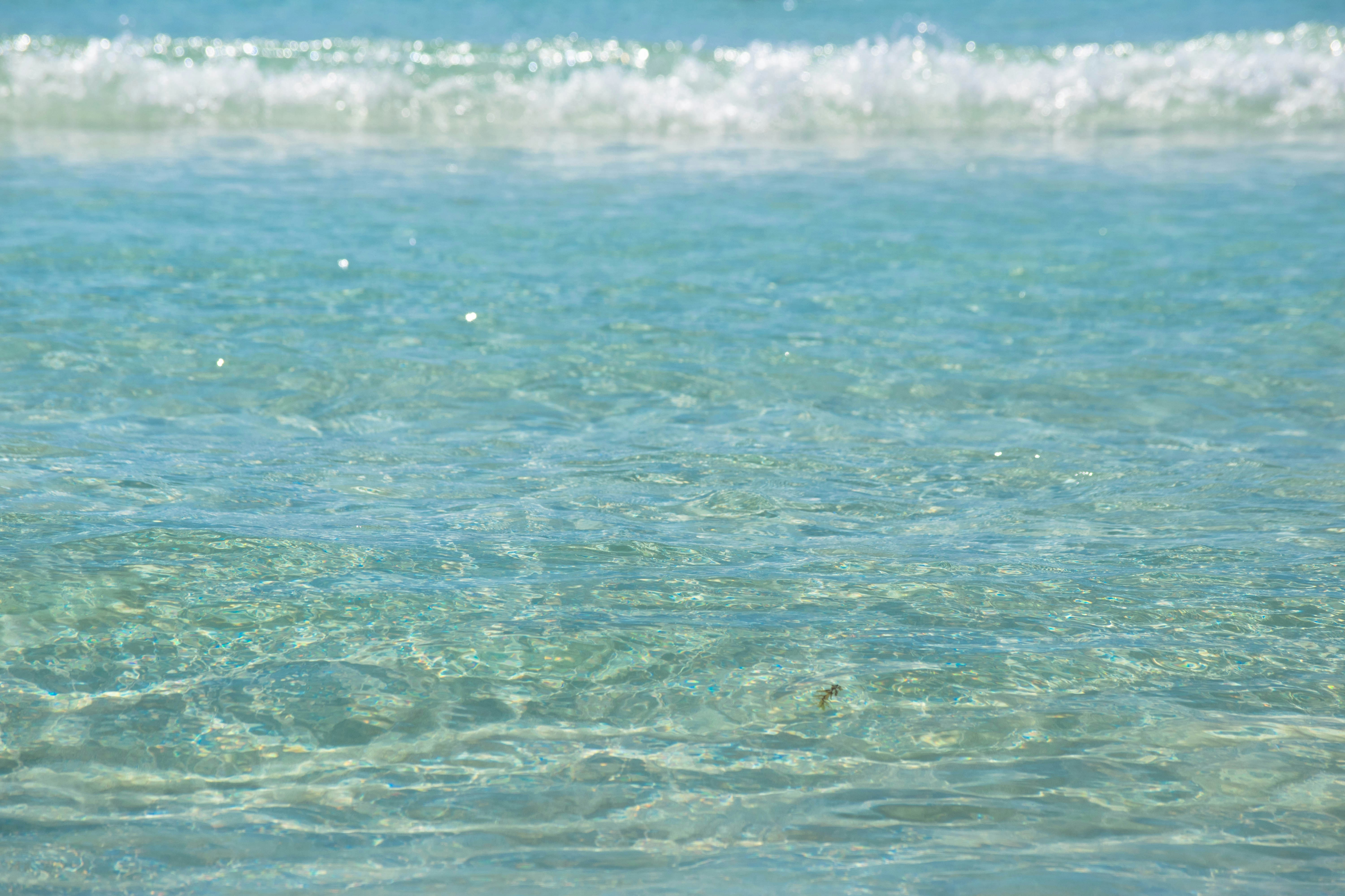 a person in the water with a surfboard, The water in Cancun is clear due to the absorption of light, which gives it its turquoise color. The water is known to be particularly clear and blue in the hotel zone of Cancun.
