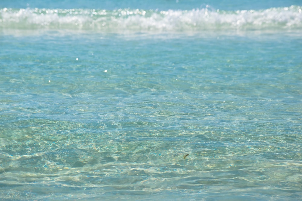 a person in the water with a surfboard