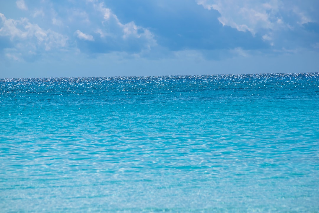 Little Luxuries: The Top Hotel Chains Catering to Families with You… — Little Luxuries