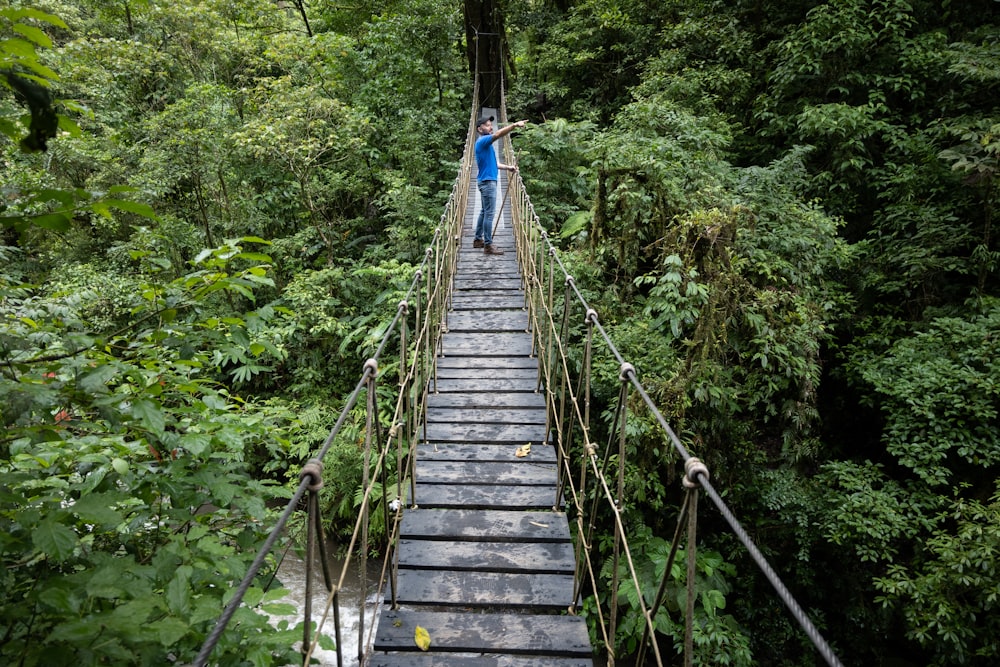 a person standing on a suspension bridge in the middle of a forest