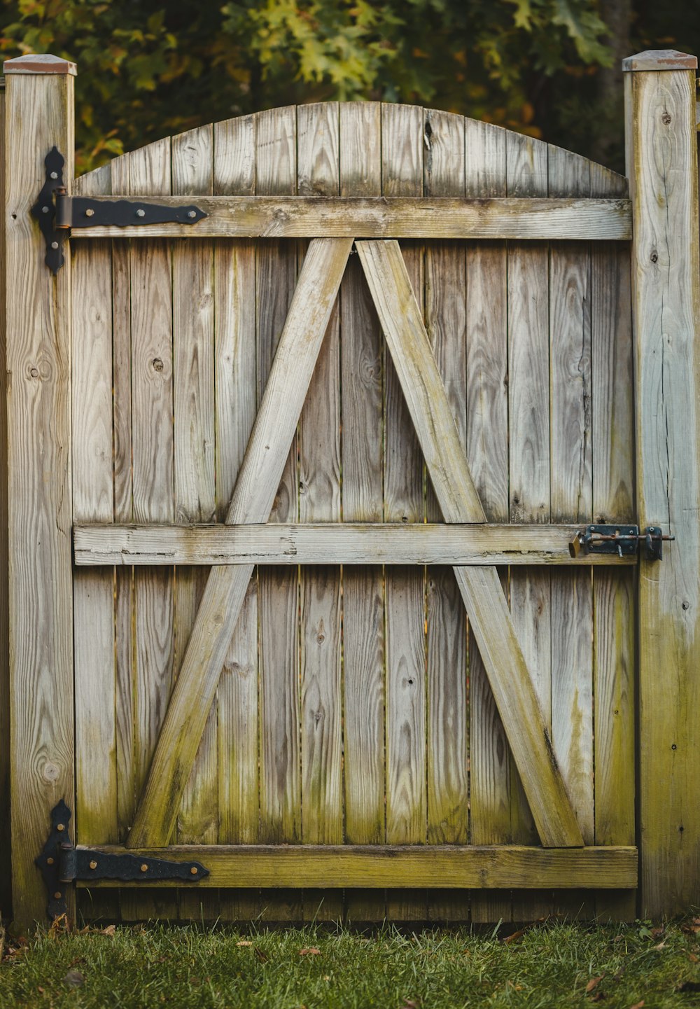 a wooden gate with a metal latch on it