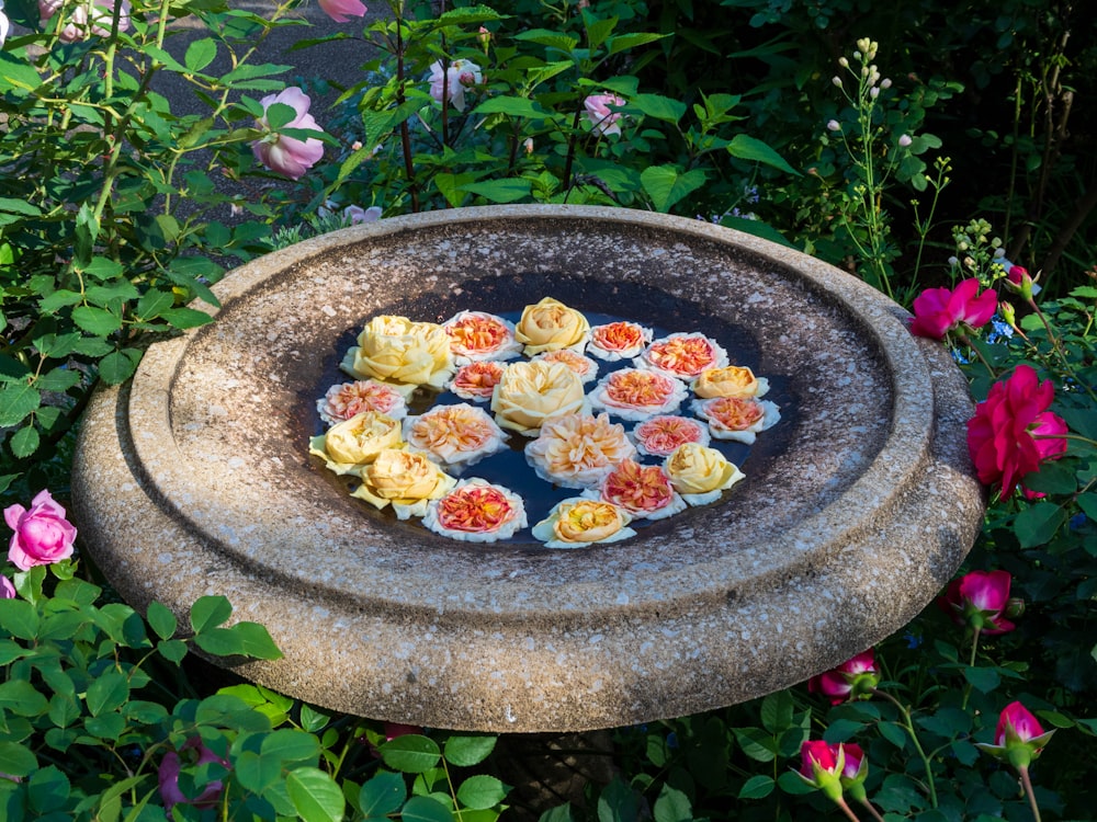 a bird bath filled with flowers in a garden