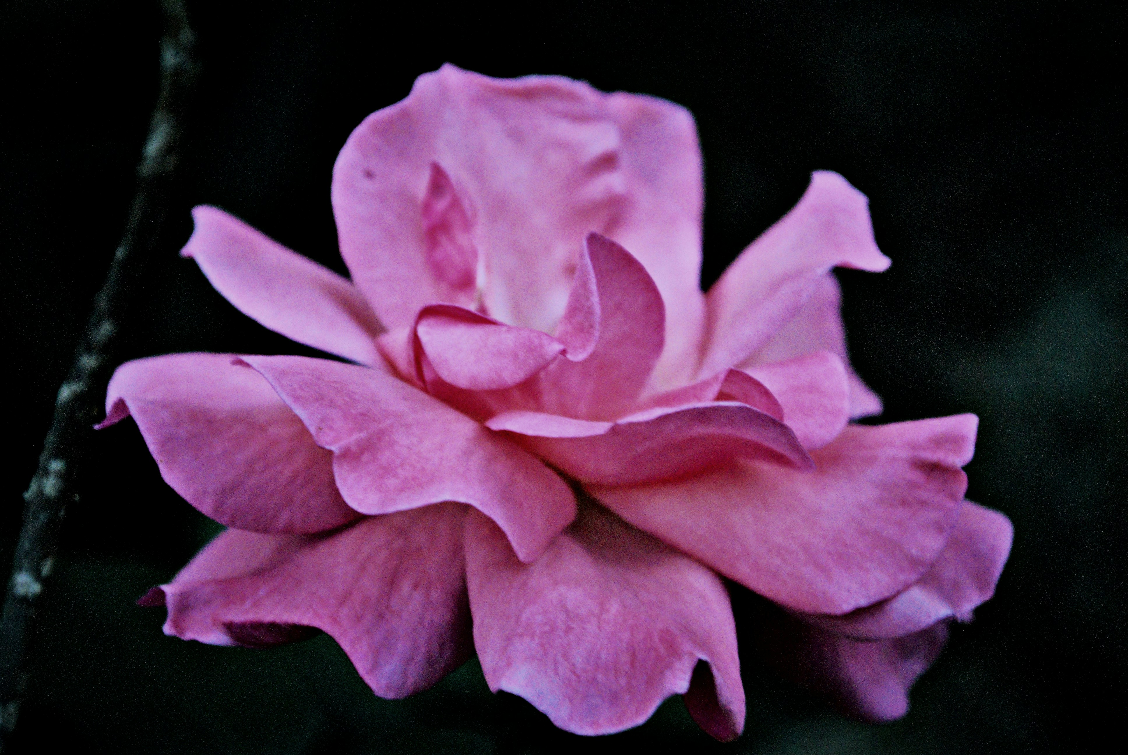 Photo by chrisjbecker