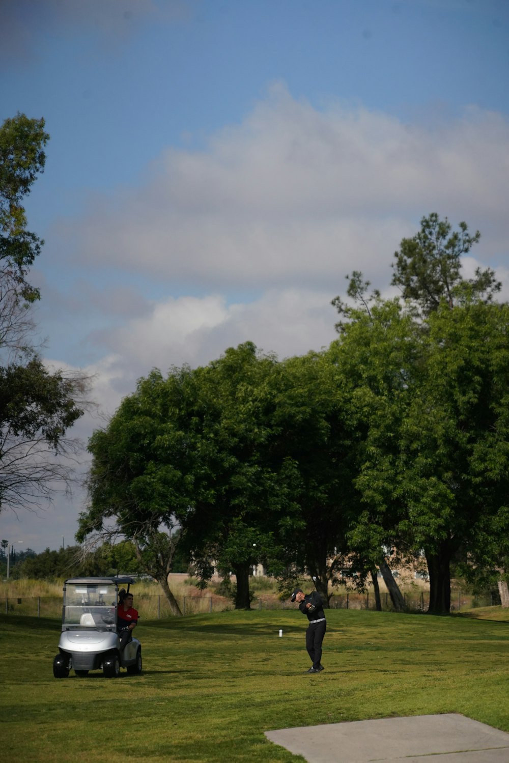 a person standing in a field with a golf cart