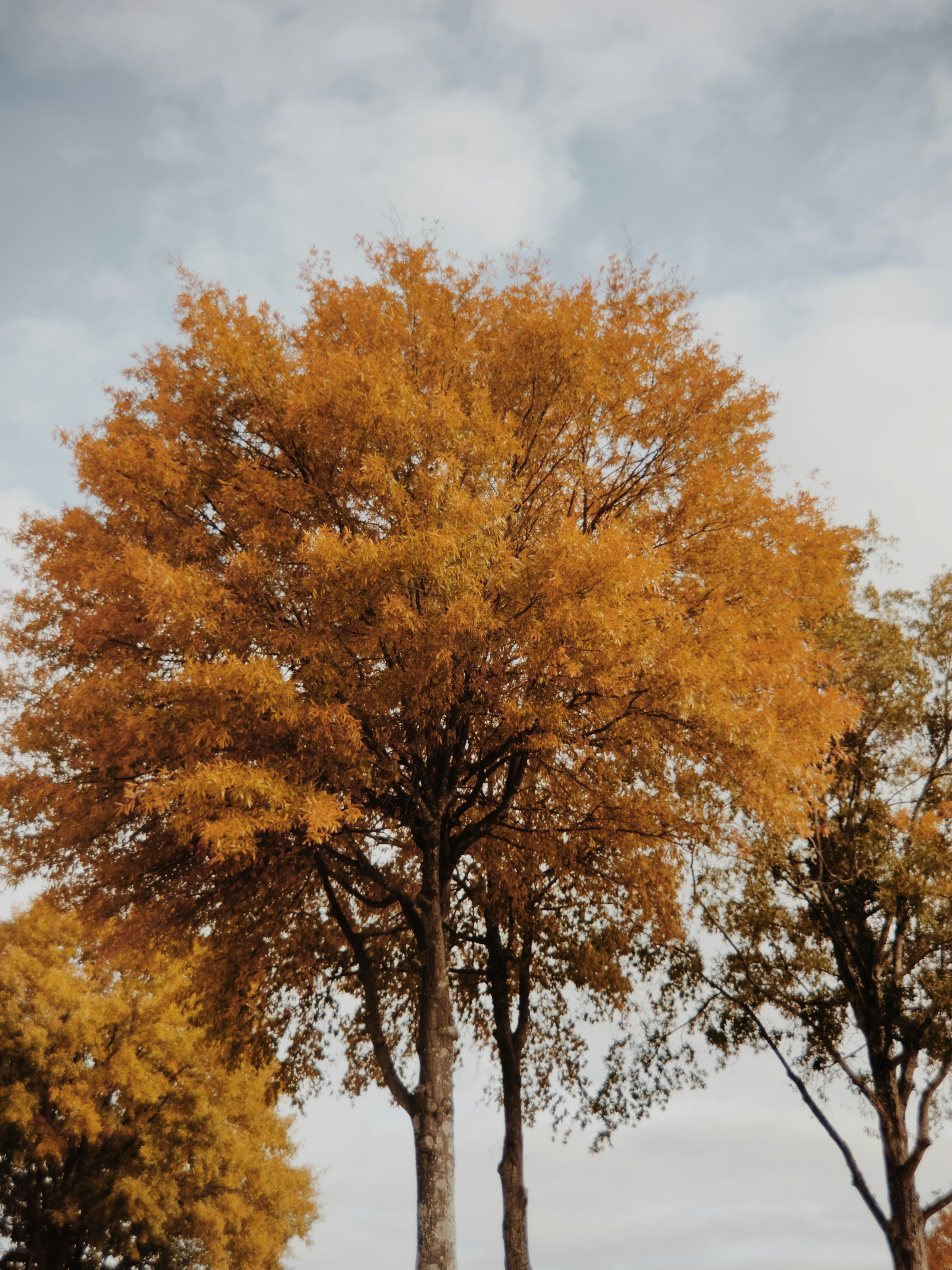 Photo by gerardtrichard