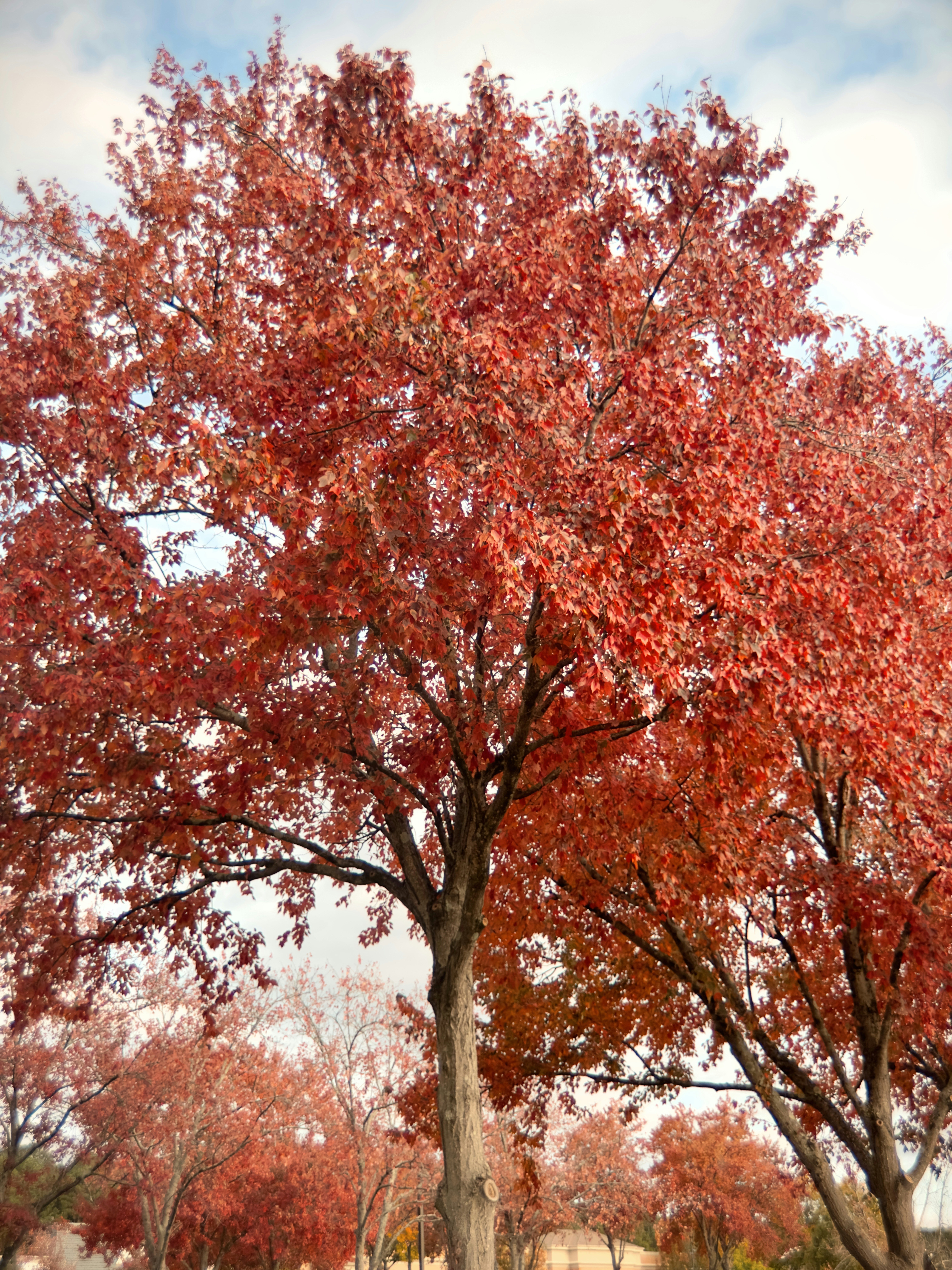 Photo by gerardtrichard