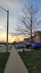 A suburban street during a sunset, featuring a line of houses with driveways and parked cars. A sidewalk runs parallel to the road, bordered by grass on either side. Trees, some with budding leaves, are spaced along the sidewalk. The sky is a mixture of soft blues, oranges, and yellows, creating a peaceful, serene atmosphere.