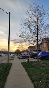 A suburban street during a sunset, featuring a line of houses with driveways and parked cars. A sidewalk runs parallel to the road, bordered by grass on either side. Trees, some with budding leaves, are spaced along the sidewalk. The sky is a mixture of soft blues, oranges, and yellows, creating a peaceful, serene atmosphere.