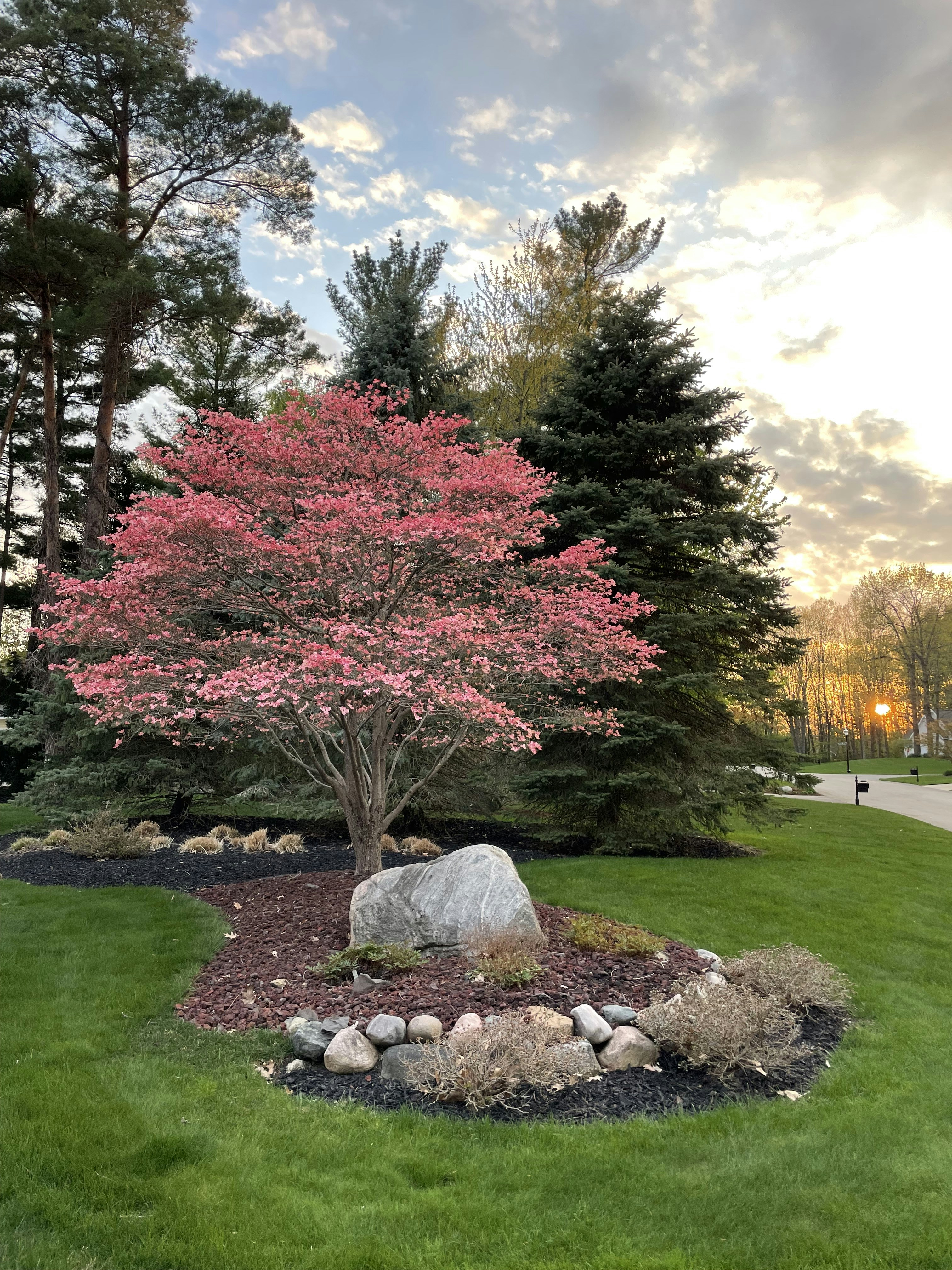 landscape consultation