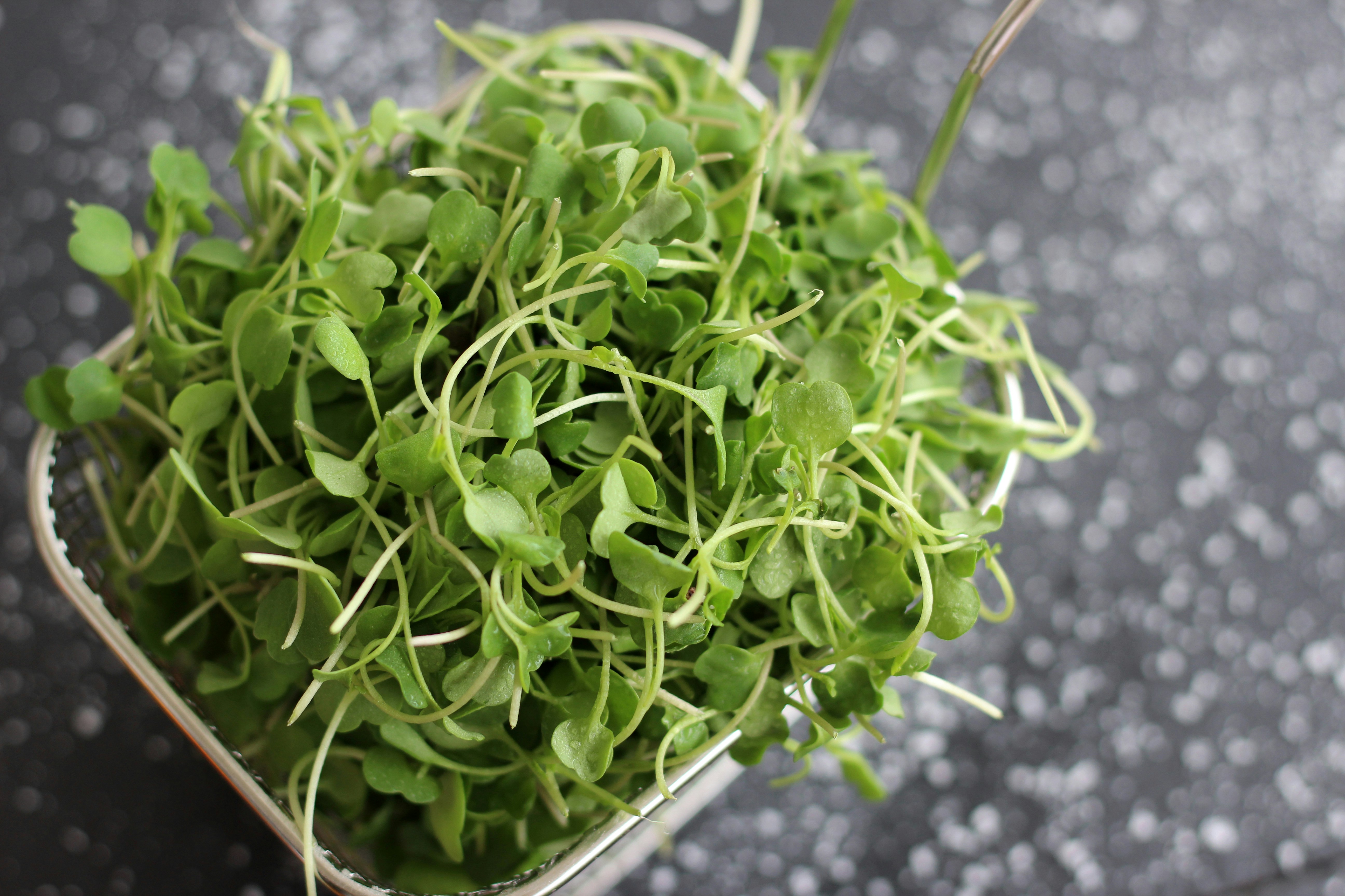 Photo by cecilia_schwartz