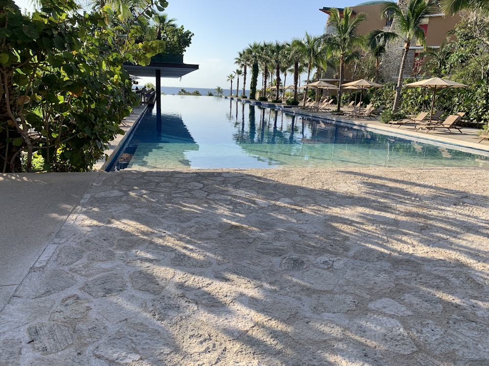 a long swimming pool surrounded by palm trees