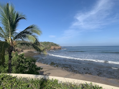Nearby sandy beach with gentle waves and palm trees swaying