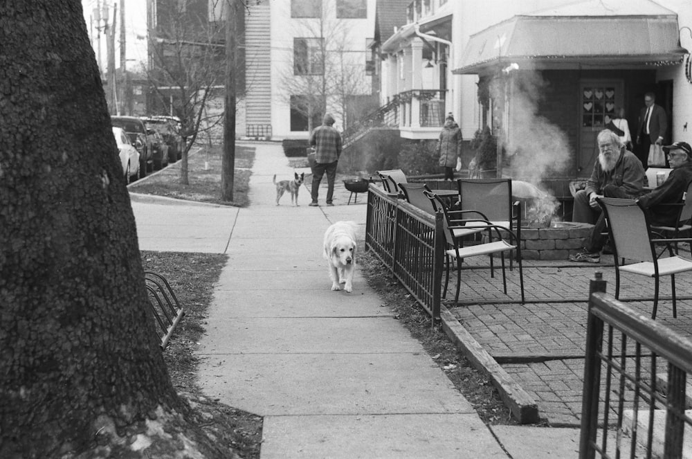 a black and white photo of a dog walking down a sidewalk