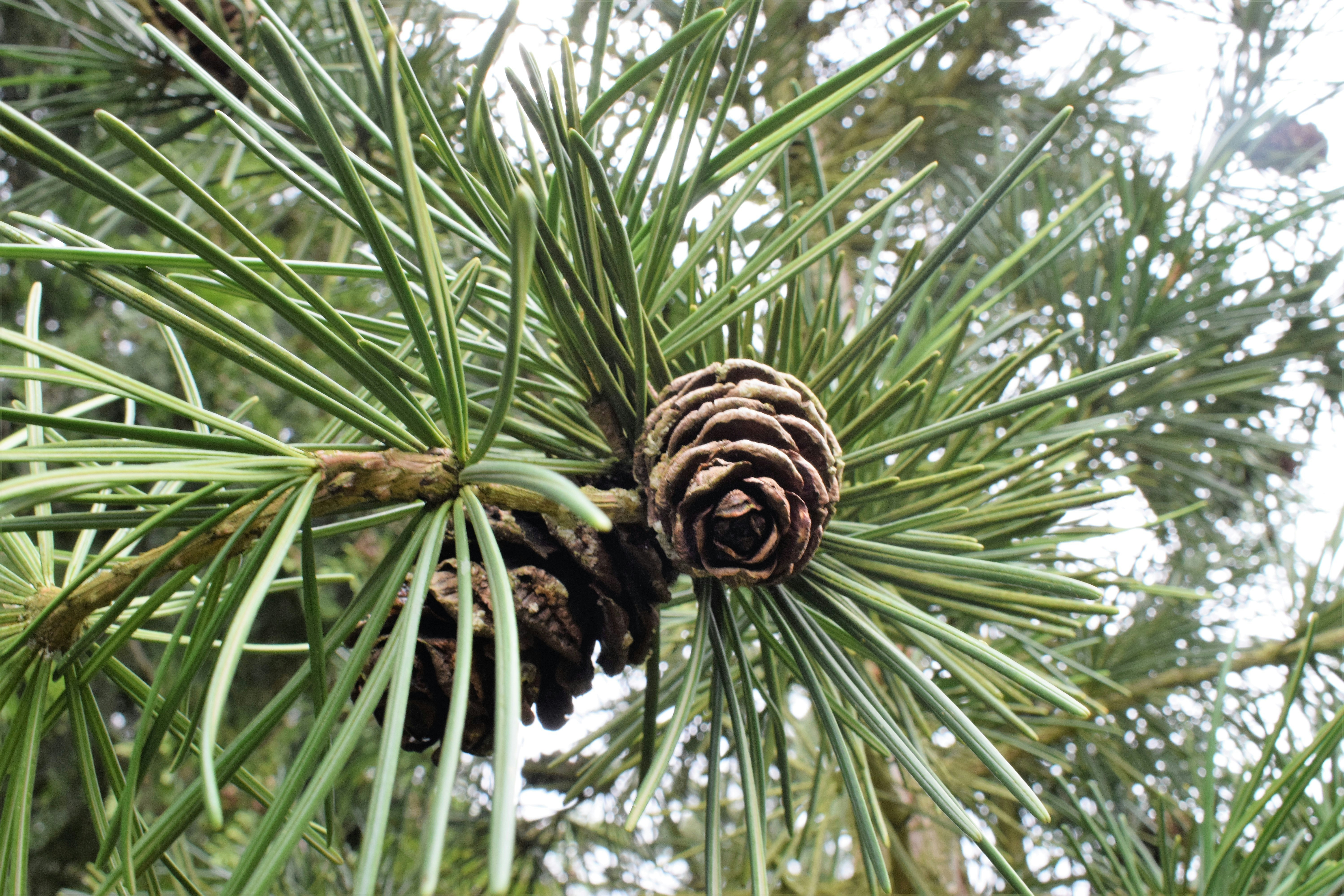 Breakthrough in Propagation Technology (image credits: unsplash)