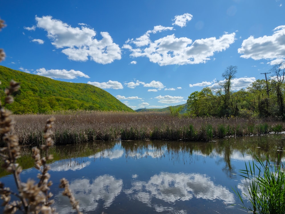 a lake surrounded by a lush green hillside