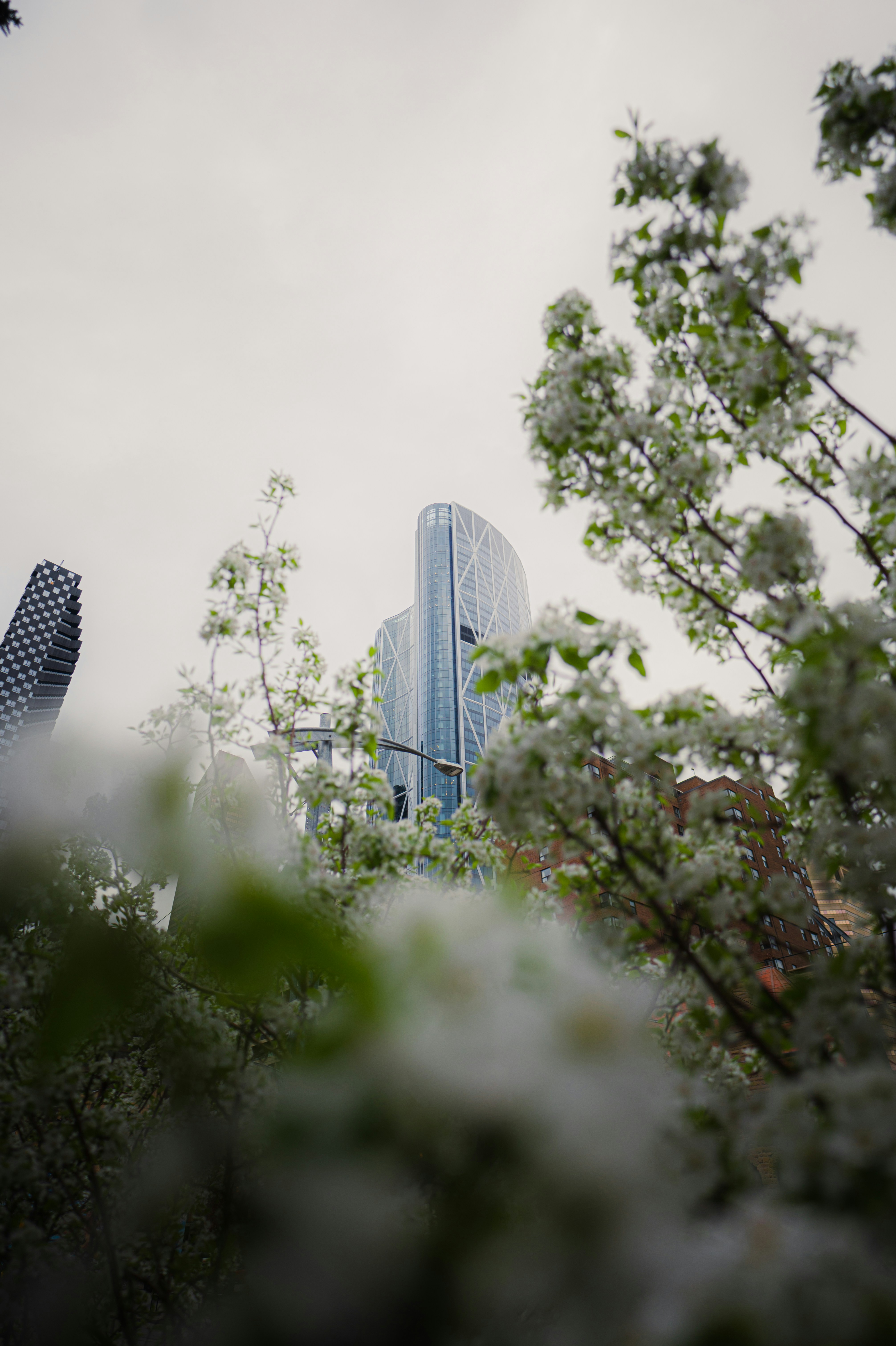 Photo by ryunosuke_kikuno