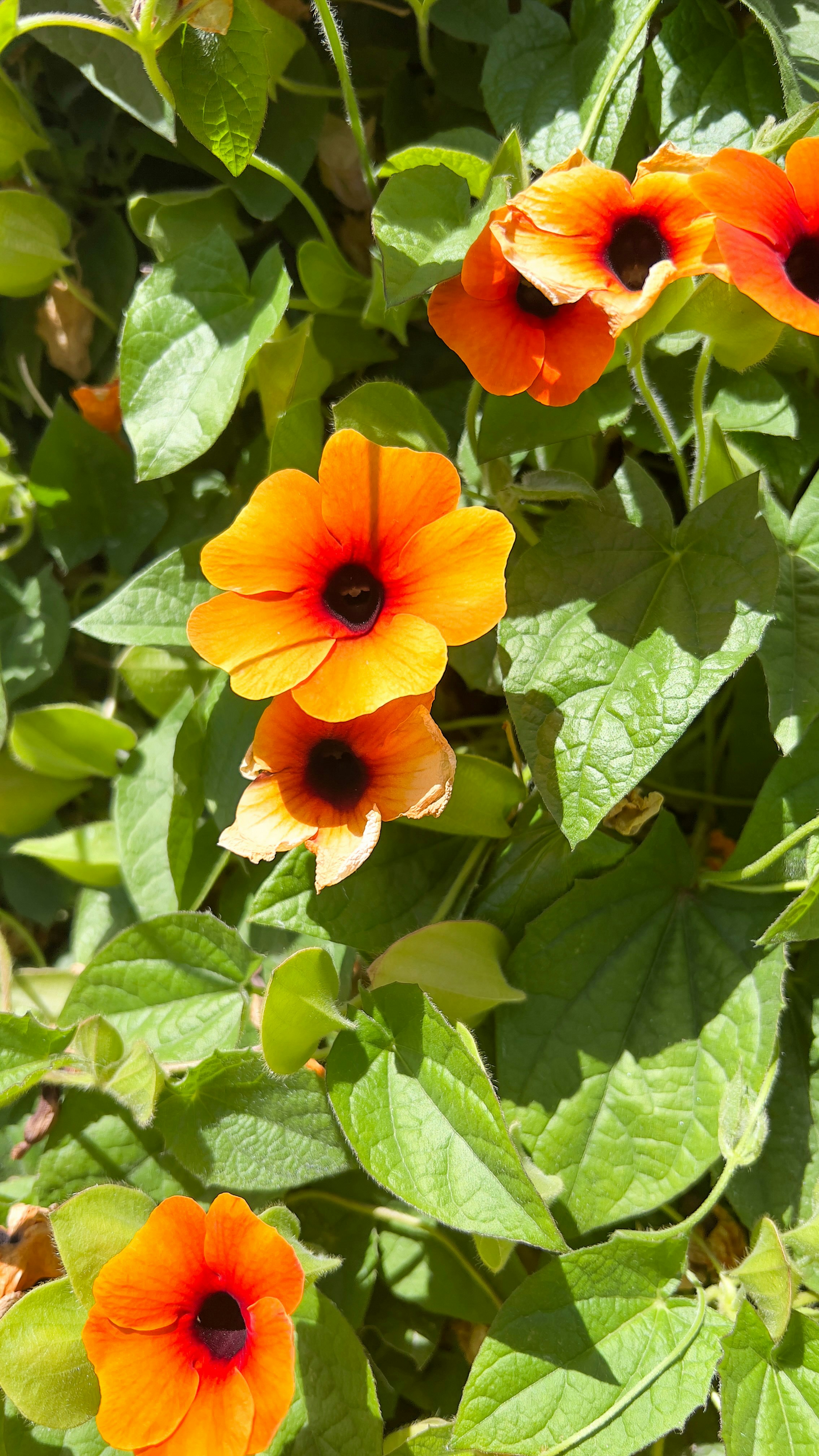 Photo by drizzy_bear86