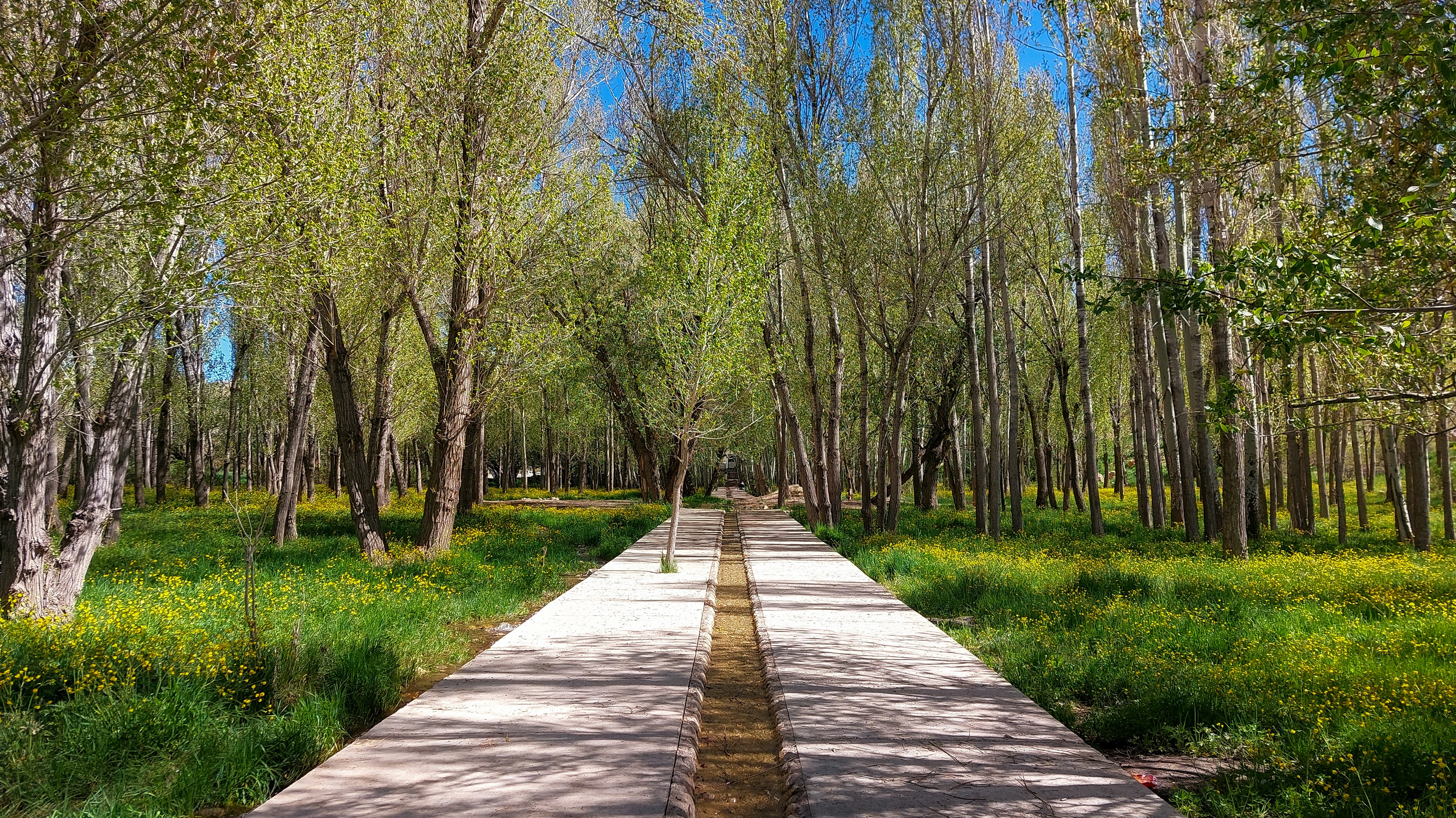 Photo by aliarjmandi