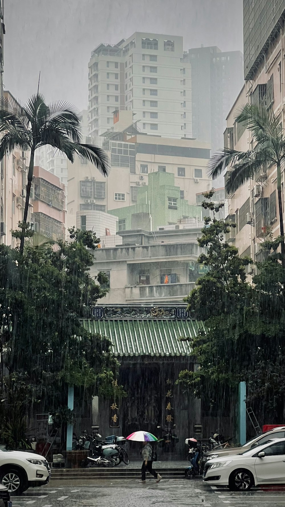 a person with an umbrella walking in the rain