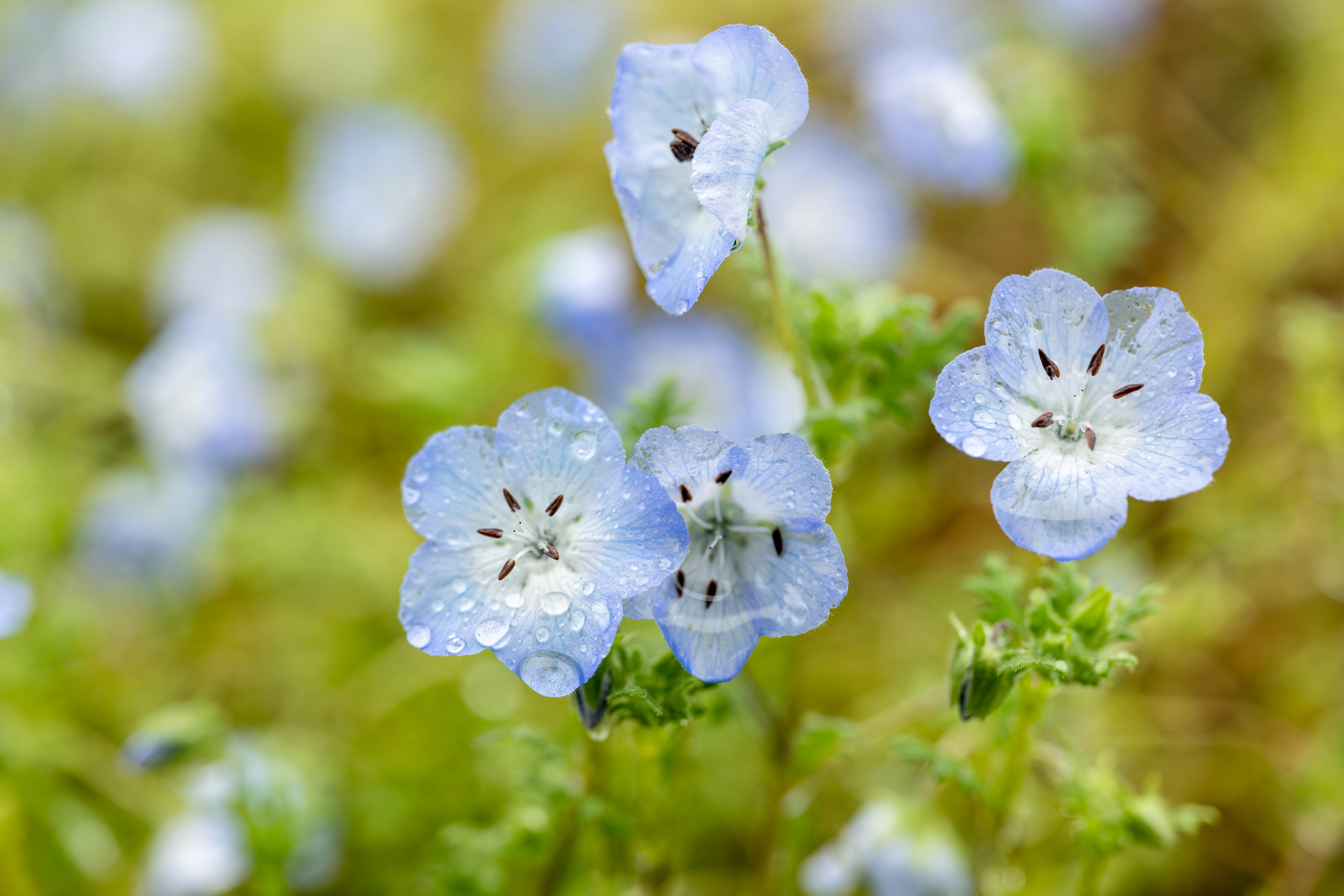 photo-1683436812863-