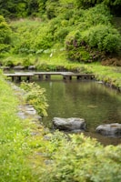 A tranquil garden with a wooden bridge symbolizing healing.