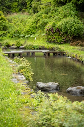 A tranquil garden with a wooden bridge symbolizing healing.