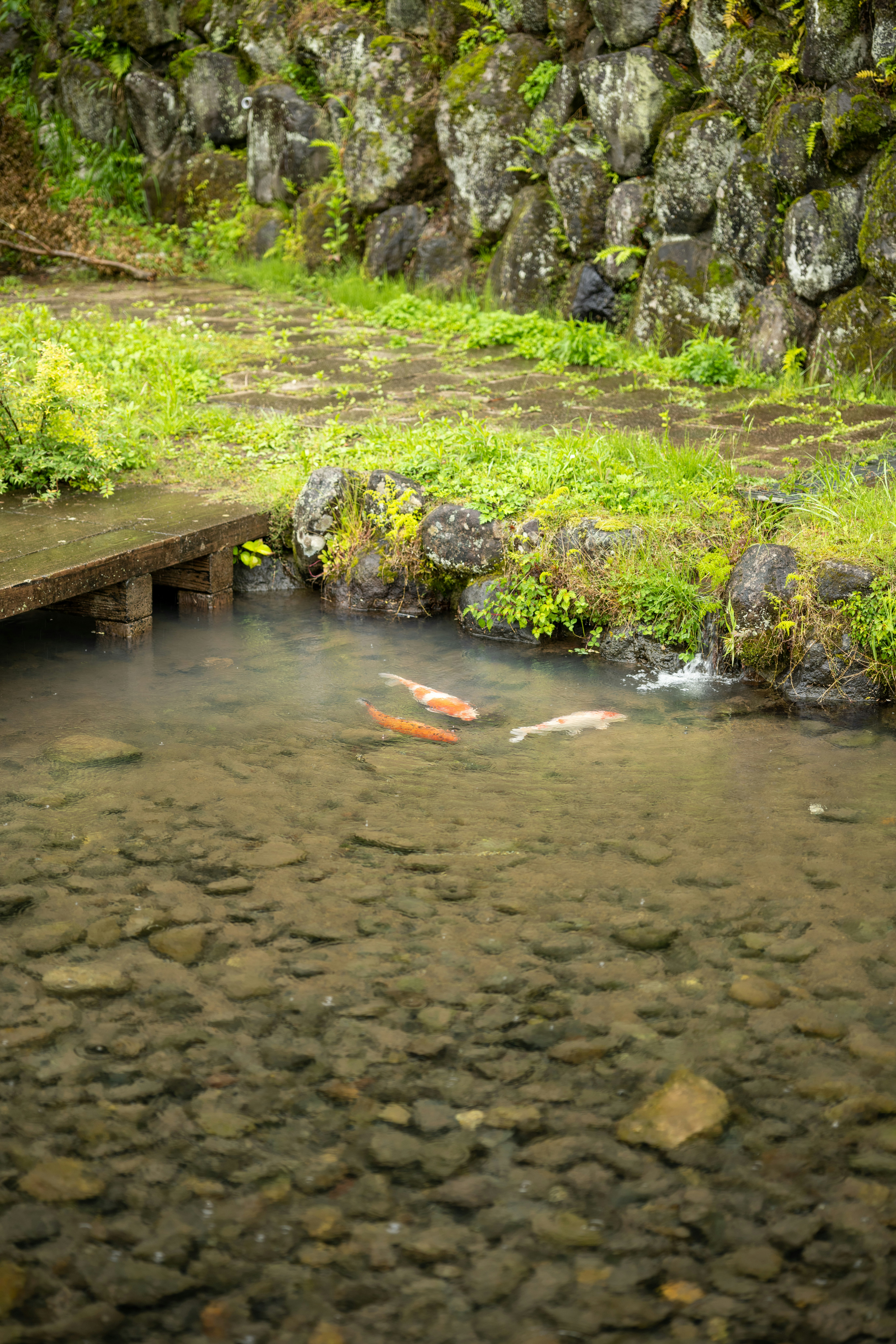 Japanese onsen with mountain view