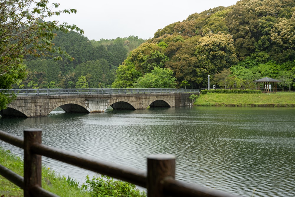 a bridge over a body of water near a forest