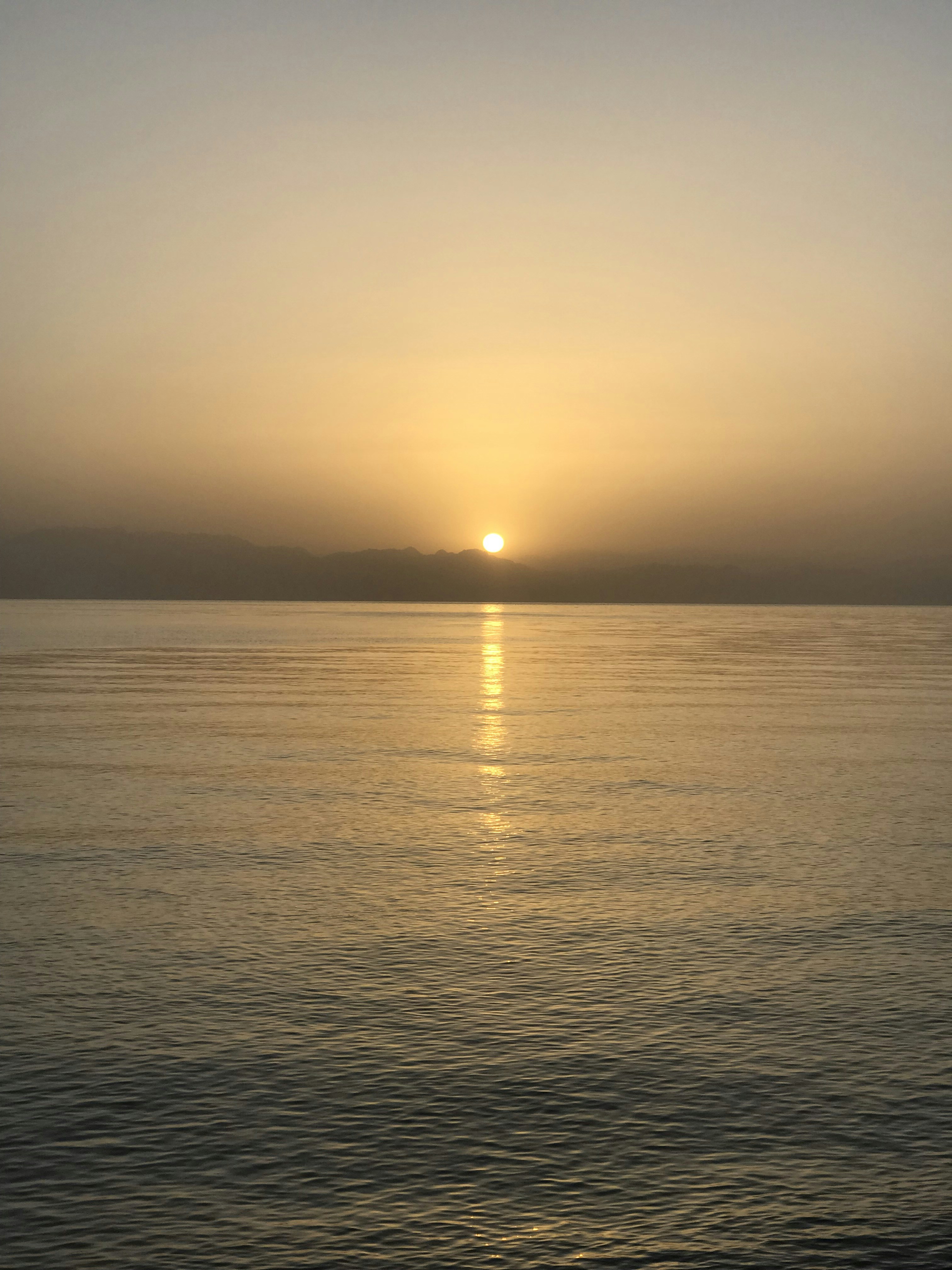 Photo by tamrathewarrior