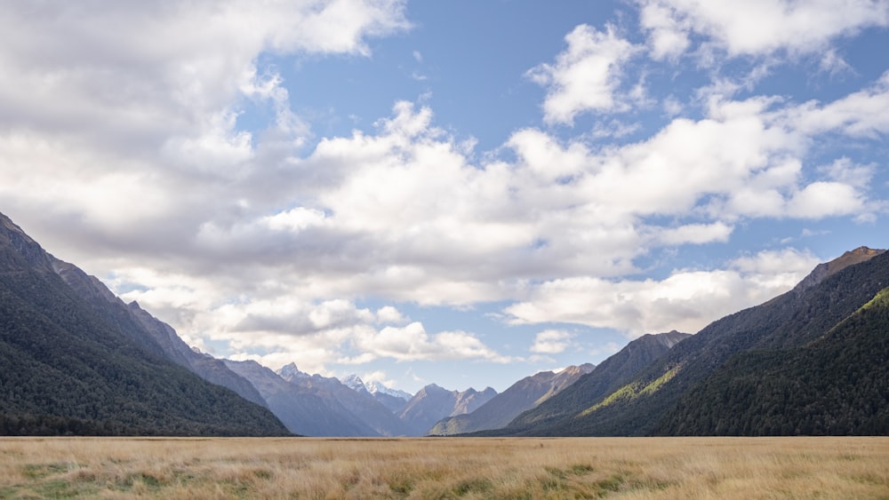 a grassy field with mountains in the background