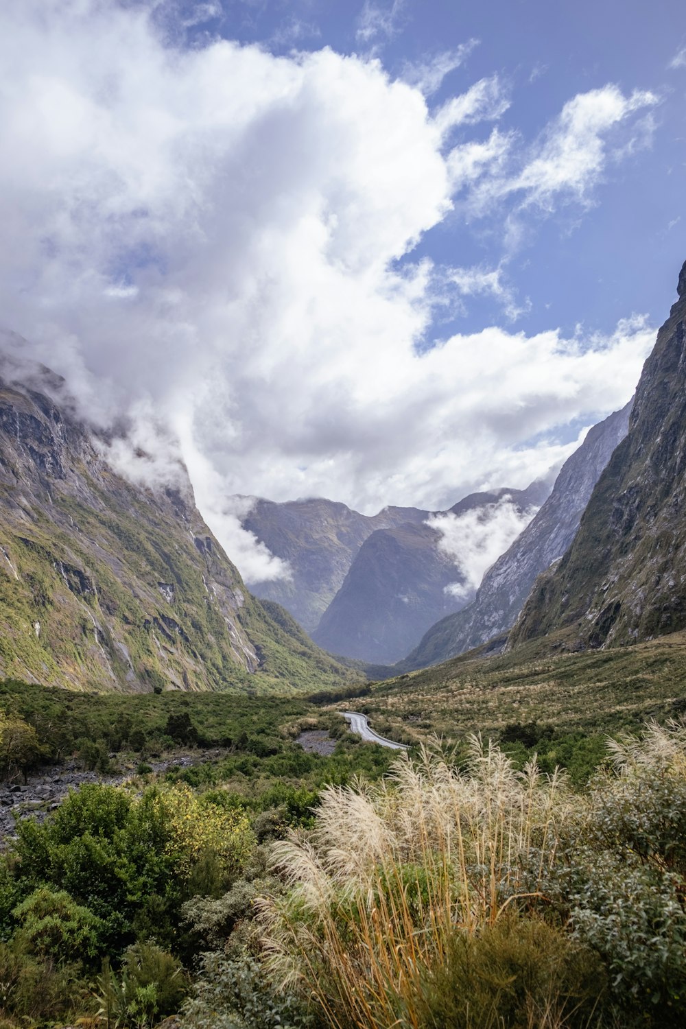 a river running through a lush green valley