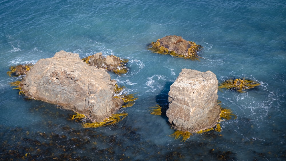 a group of rocks sitting on top of a body of water