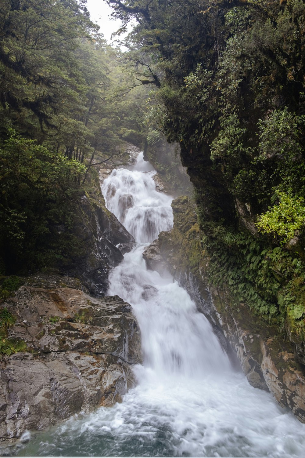 a small waterfall in the middle of a forest