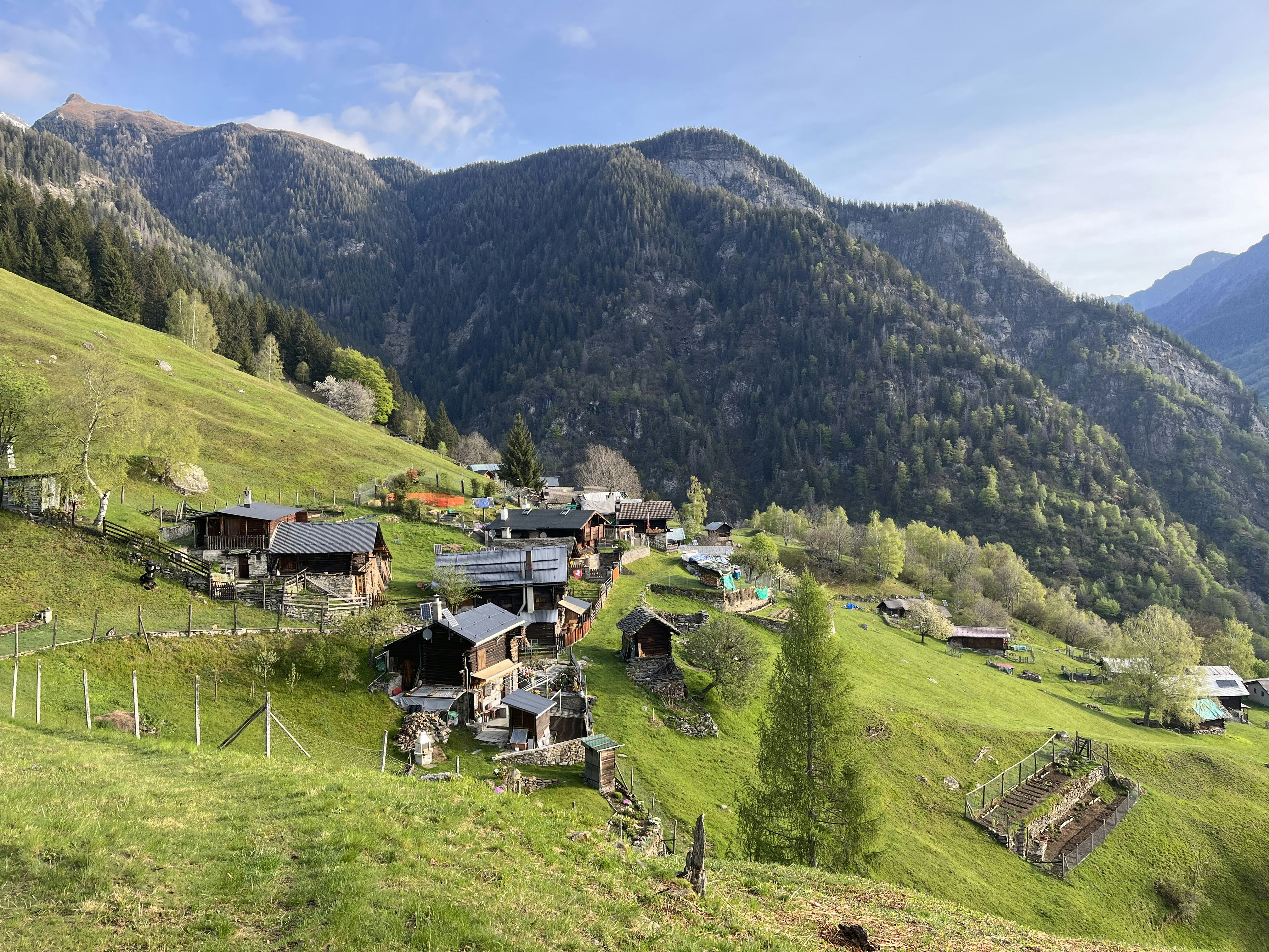 Photo by matteocheda