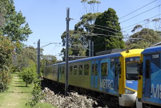 A blue and yellow train, labeled 'METRO,' traveling through a scenic area with tall green trees and electric poles. There are well-maintained grassy areas and a pathway beside the track. Overhead power lines can be seen, indicative of an electrified railway.