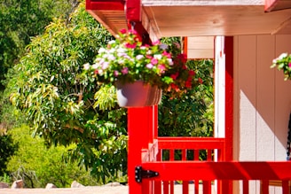 A before-and-after shot showing a freshly painted porch with vibrant colors.
