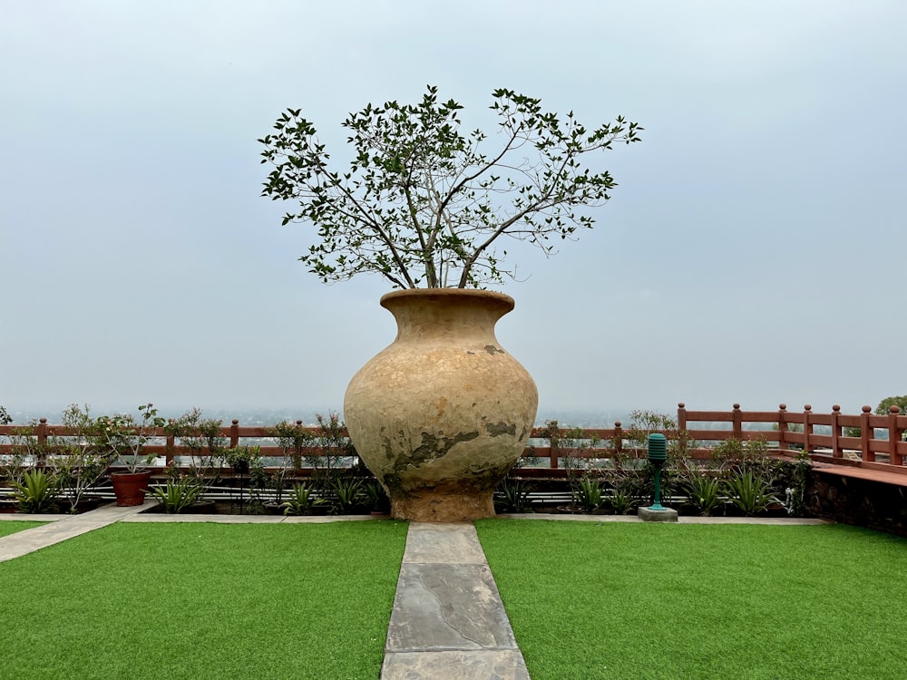 a large vase with a tree in it on a lawn
