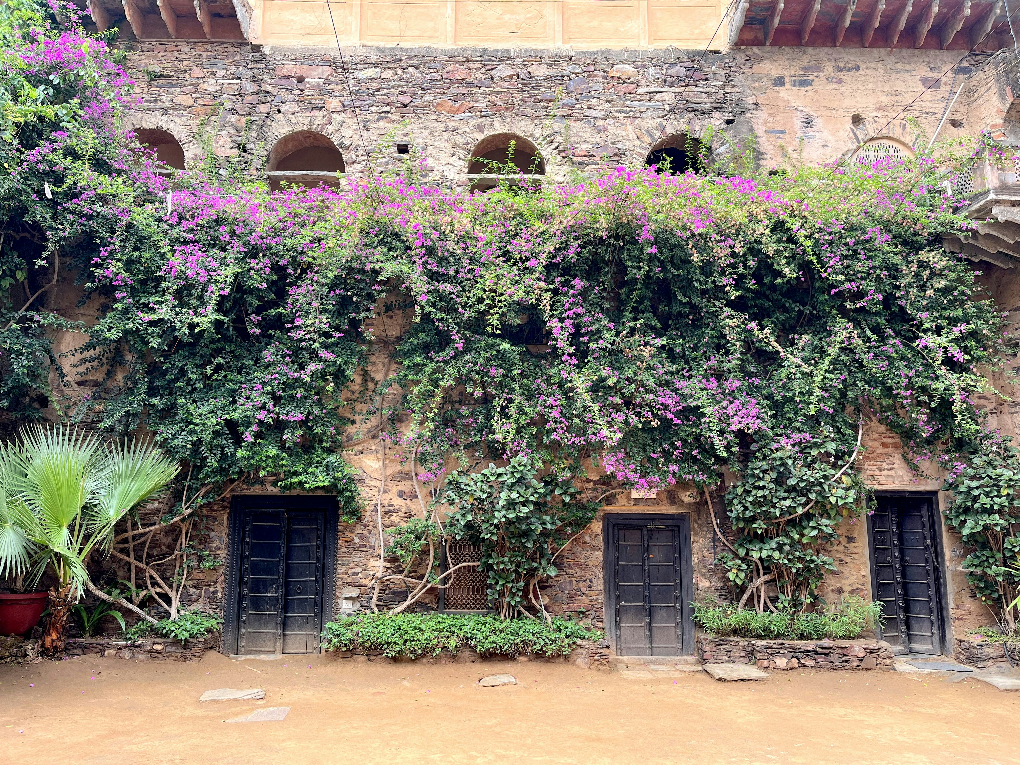 a building with a bunch of flowers growing on it