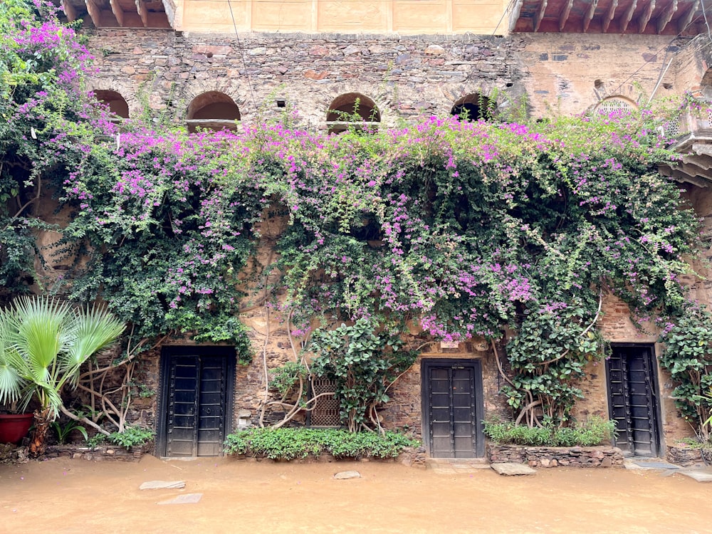 a building with a bunch of flowers growing on it