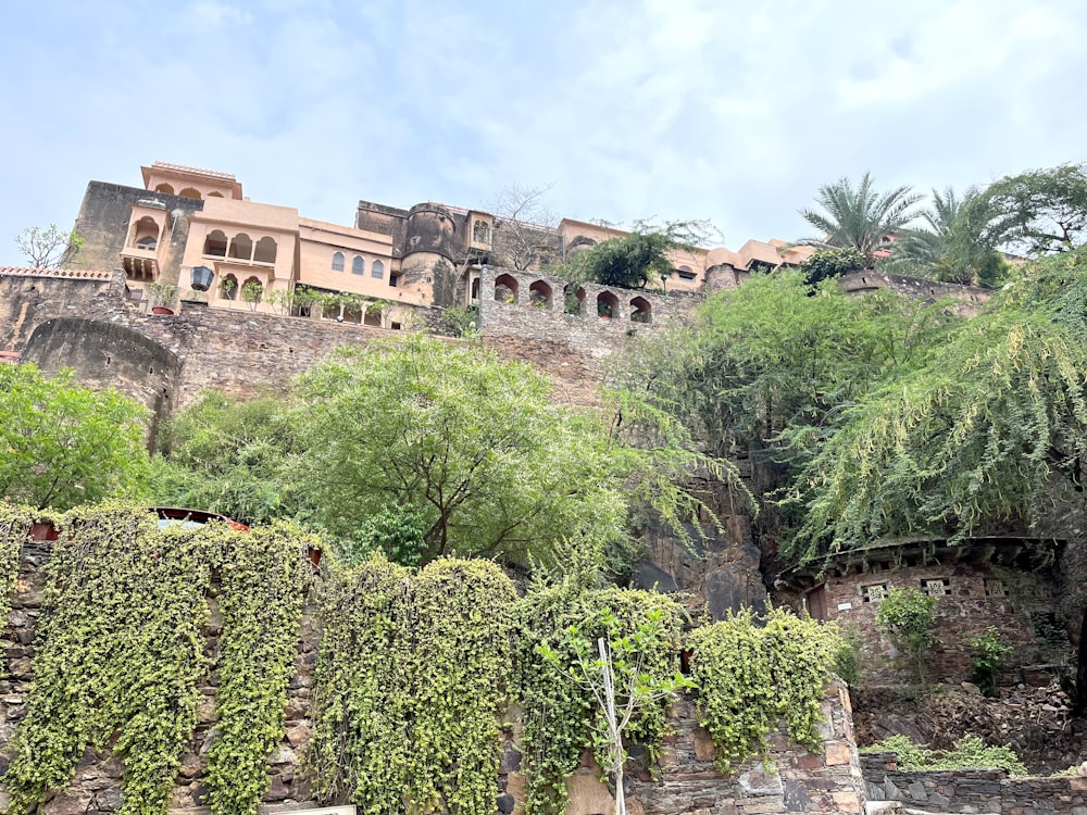 a stone wall covered in vines next to a building