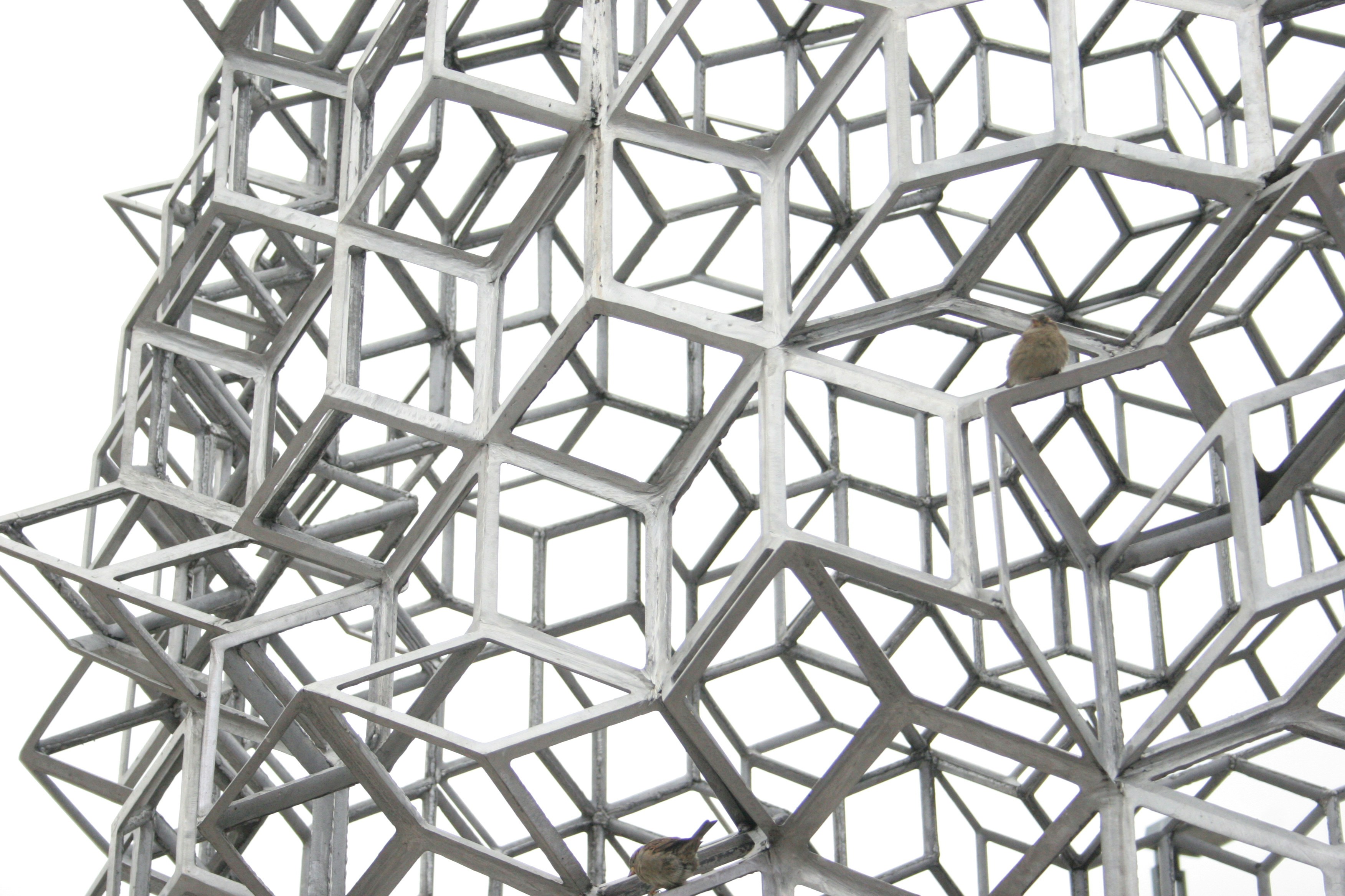 Photo by tashakostyuk