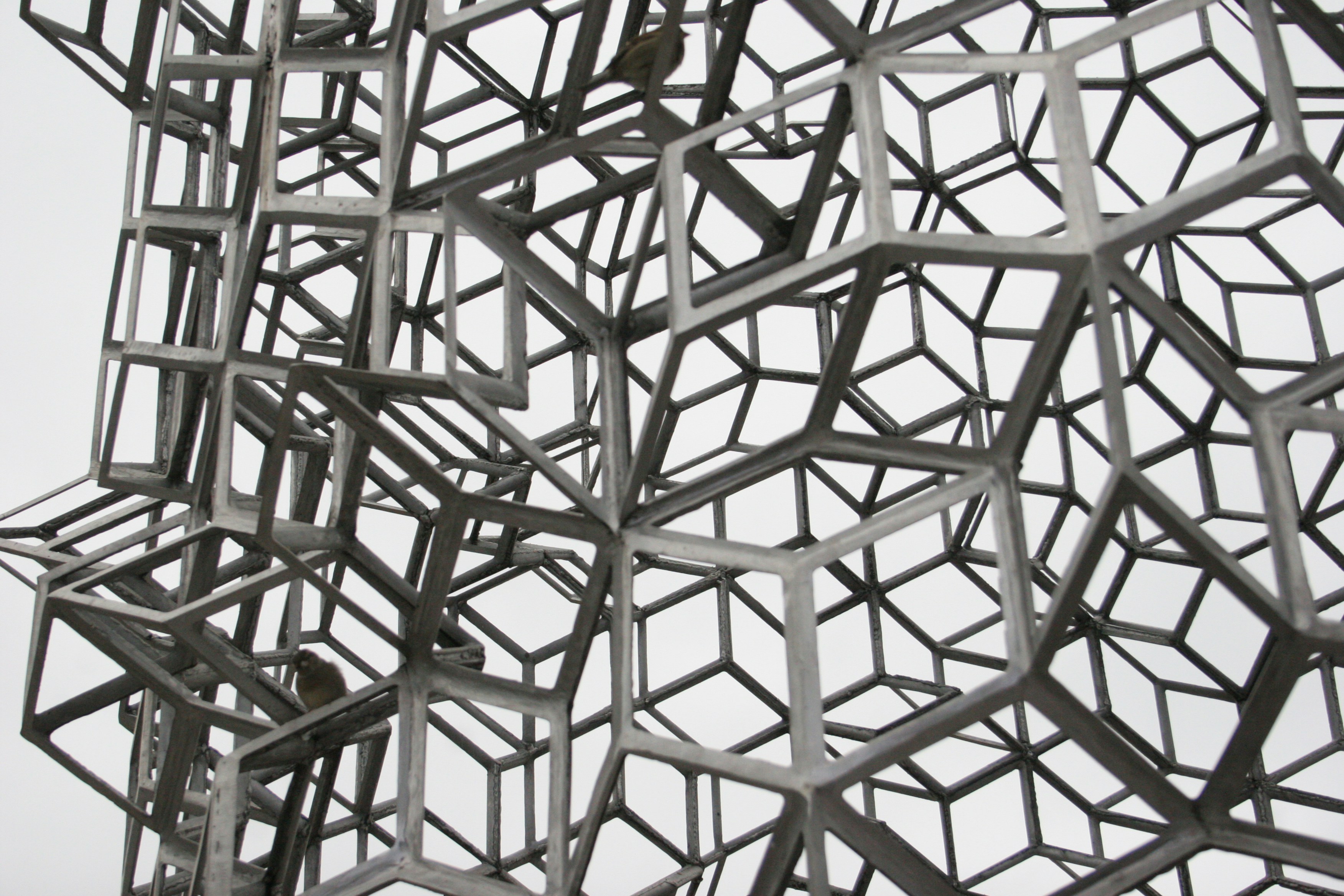 Photo by tashakostyuk